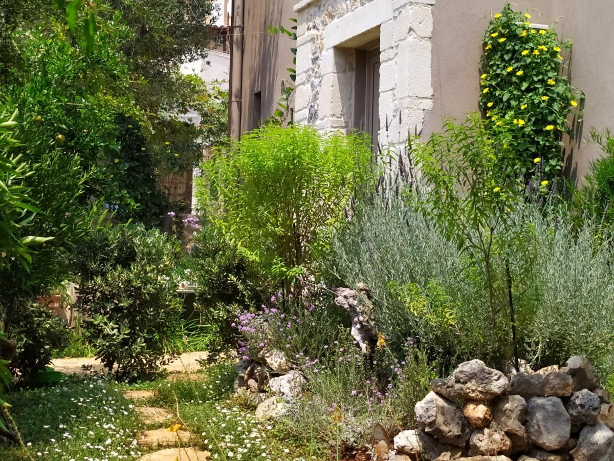 Olive Lemon Biophilic House & Lush Forest Garden Вамос Екстер'єр фото