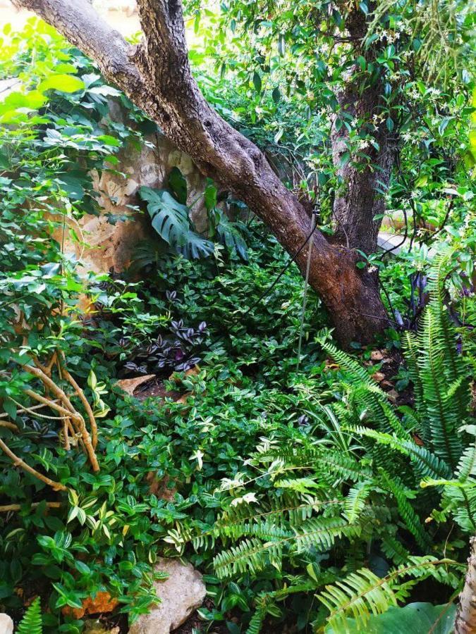 Olive Lemon Biophilic House & Lush Forest Garden Вамос Екстер'єр фото